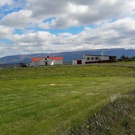 Glaesibaer Bed & Breakfast Reynistadur Bagian luar foto
