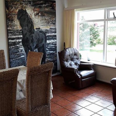 Glaesibaer Bed & Breakfast Reynistadur Bagian luar foto