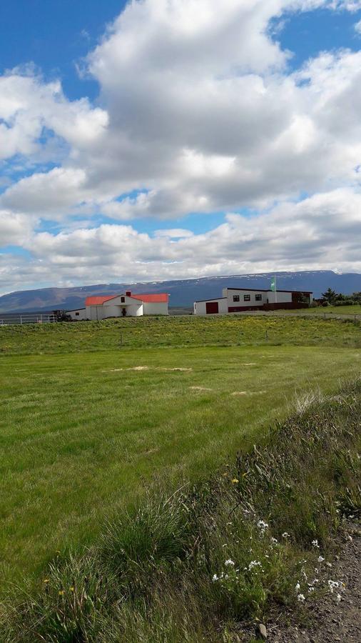 Glaesibaer Bed & Breakfast Reynistadur Bagian luar foto