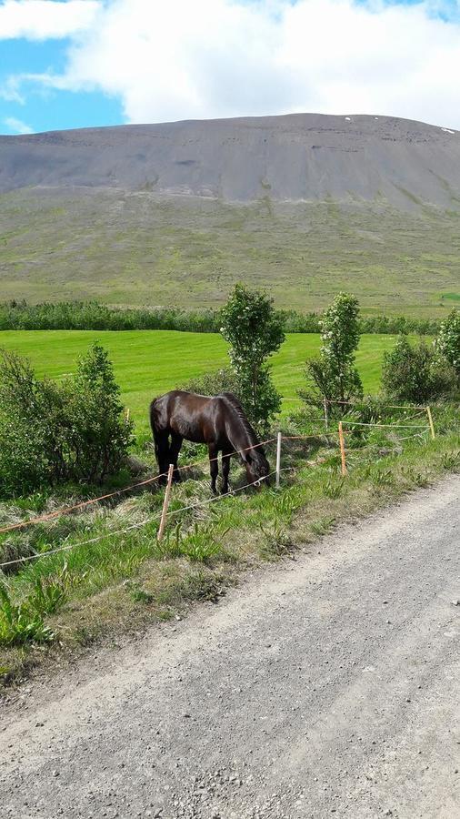 Glaesibaer Bed & Breakfast Reynistadur Bagian luar foto